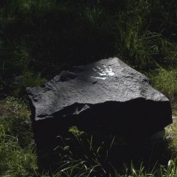 {title xx} by Hans Leutscher © 2026 All rights reserved. J. J. Leutscher