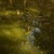 Ophelia ( ©2026 All rights reserved. J.J. Leutscher)