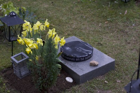  ( ©2025 All rights reserved. J.J. Leutscher)