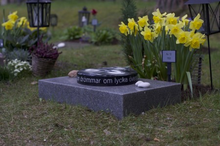  ( ©2025 All rights reserved. J.J. Leutscher)